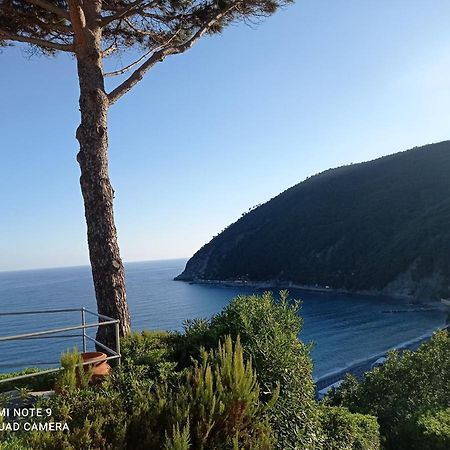 Casafischea19 Daire Moneglia Dış mekan fotoğraf