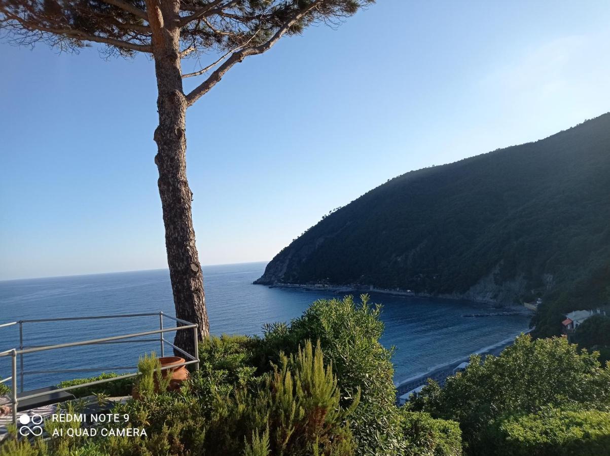 Casafischea19 Daire Moneglia Dış mekan fotoğraf