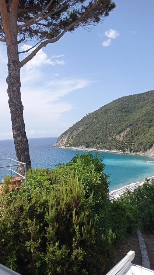 Casafischea19 Daire Moneglia Dış mekan fotoğraf
