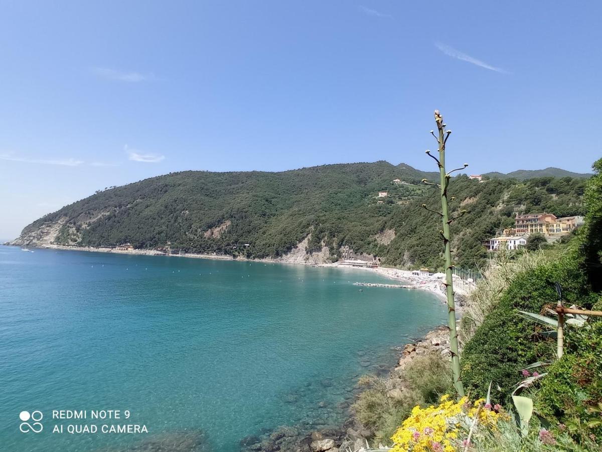 Casafischea19 Daire Moneglia Dış mekan fotoğraf