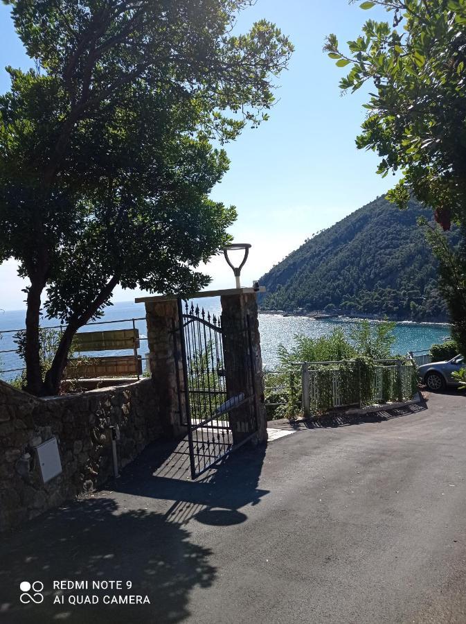 Casafischea19 Daire Moneglia Dış mekan fotoğraf